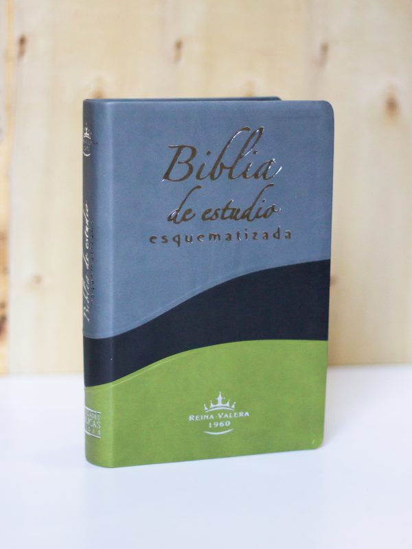 BIBLIA DE ESTUDIO ESQUEMATIZADA