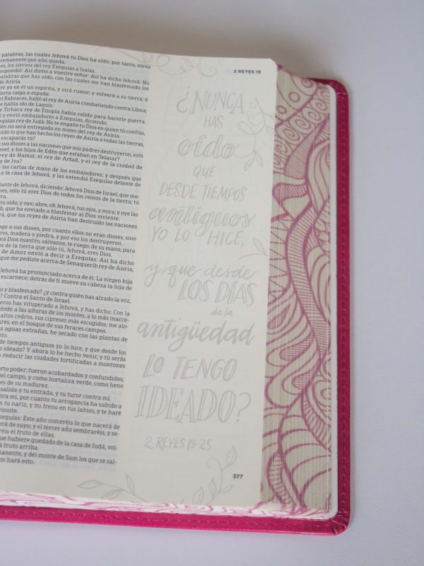 BIBLIA DE APUNTES FUCSIA ILUSTRADA - Image 4