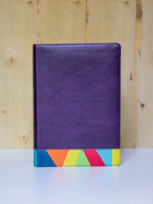 BIBLIA DE ESTUDIO ARCOIRIS MORADA MULTICOLOR