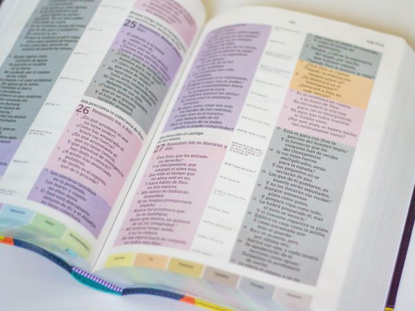 BIBLIA DE ESTUDIO ARCOIRIS MORADA MULTICOLOR - Image 3