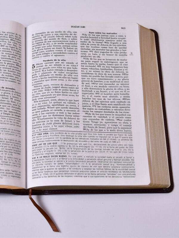 BIBLIA RV60 DE ESTUDIO VIDA PLENA DUO TONO MARRO - Image 2