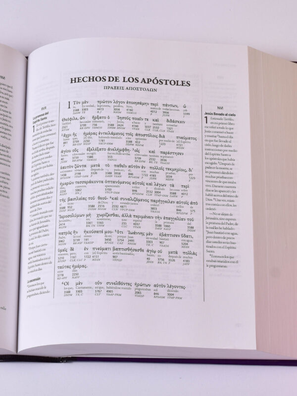 INTERLINEAL ACADEMICO DEL NUEVO TESTAMENTO - Image 2