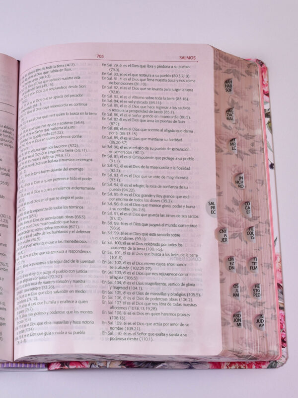 BIBLIA PARA LA PREDICACION DE AVIVAMIENTO FLORAL - Image 2