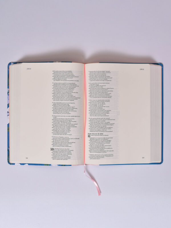 BIBLIA NVI ILUSTRA TU FE - Image 2