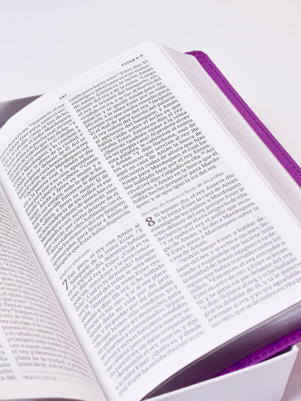 BIBLIA RVR 60 PARA QUINCEAÑERAS IMITACION PIEL MORADO CON MARIPOSAS - Image 2