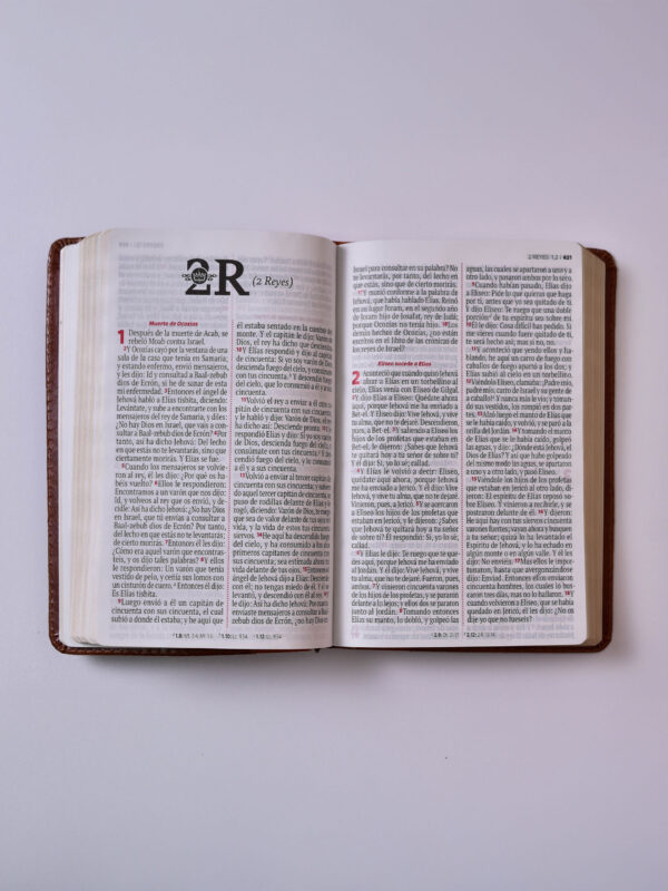 BIBLIA MINISTERIAL MARRON RVR 60 - Image 2
