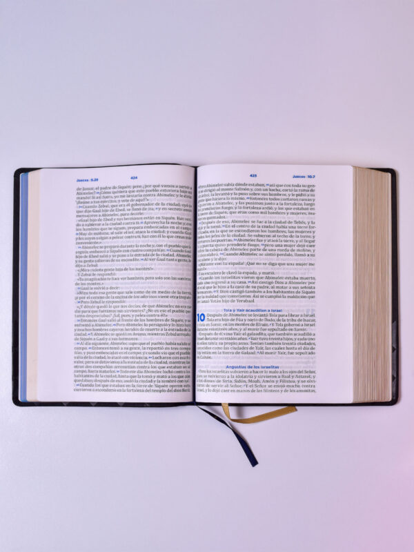 BIBLIA RVC 086 LG PASTORAL NEGRA CANTO DORADO - Image 2