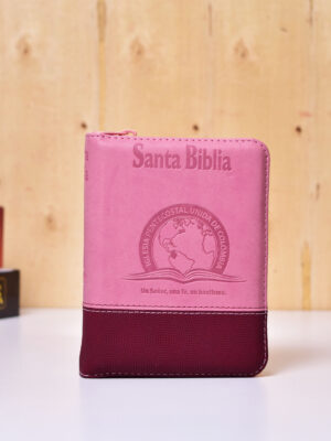 BIBLIA 025 CON HIMNARIO FLEXIBLE ROSADA VINOTINTO