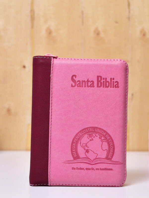 BIBLIA 045 CON HIMNARIO FLEXIBLE ROSA VINOTINTO