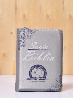 BIBLIA 045 CON HIMNARIO FLEXIBLE GRIS PERLADO ROSA AZUL CANTO PLATA