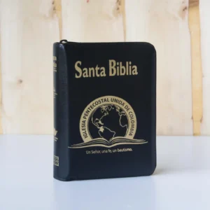 BIBLIA 025 CON HIMNARIO ACOLCHADA - NEGRA