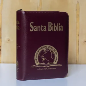 BIBLIA 025 CON HIMNARIO ACOLCHADA - VINOTINTO