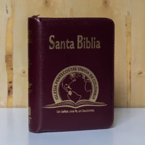 BIBLIA 045 CON HIMNARIO ACOLCHADA - VINOTINTO