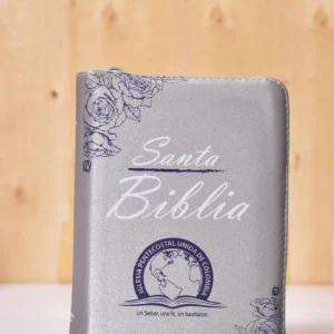 BIBLIA 045 CON HIMNARIO FLEXIBLE GRIS PERLADO ROSA AZUL CANTO PLATA