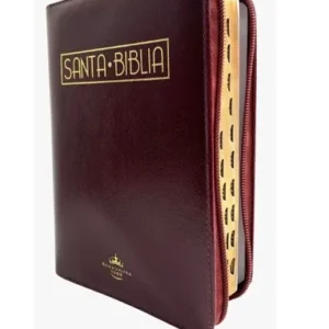 BIBLIA 055 ACOLCHADA VINOTINTO CANTO DORADO INDICE