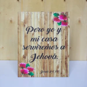 CUADRO MEDIANO VINILO 22X28