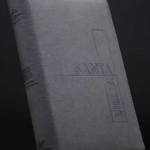 BIBLIA 065 CON HIMNARIO GRIS CANT PLATA