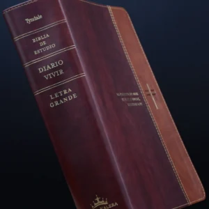 BIBLIA DE ESTUDIO DIARIO VIVIR LETRA GRANDE CAFE CLARO