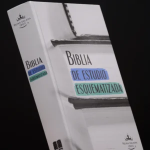 BIBLIA DE ESTUDIO ESQUEMATIZADA TAPA DURA
