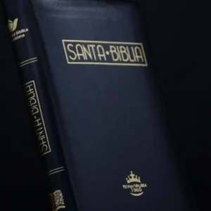 BIBLIA 065 ACOLCHADA NEGRA CANTO BLANCO O PINTADO