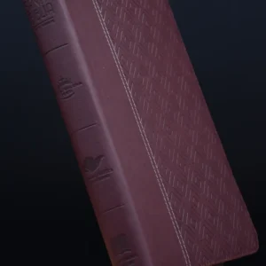 BIBLIA 086 FLEXIBLE COLOR VINOTINTO CANTO PLATA CON INDICE