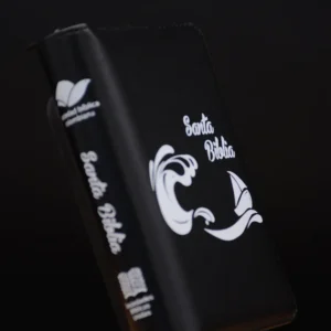 BIBLIA 025 COLOR NEGRO CANTO PINTADO