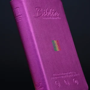 BIBLIA RVC 065 COLOR MORADO CANTO PLATEADO ENCUENTRO CON DIOS