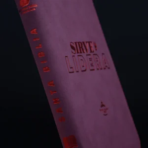 B. RVR 60 066 SIRVE Y LIDERA ROJO CANTO PLATEADO