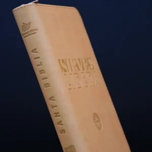 B. RVR 60 066 SIRVE Y LIDERA CAFE CON DORADO CANTO PLATEADO