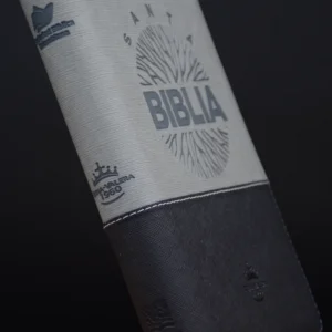 B. RVR 065 LETRA GRANDE CON INDICE CIERRE GRIS - NEGRO CAN PLATA