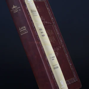 BIBLIA065 RVR60 OBSEQUIOS Y PREMIOS MARRÓN CON CIERRE